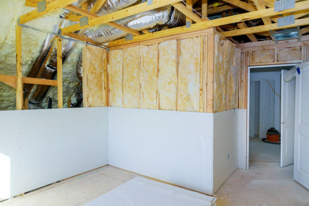 Professional Insulation Contractor in Fate, TX