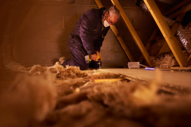 Best Spray Foam Insulation  in Fate, TX
